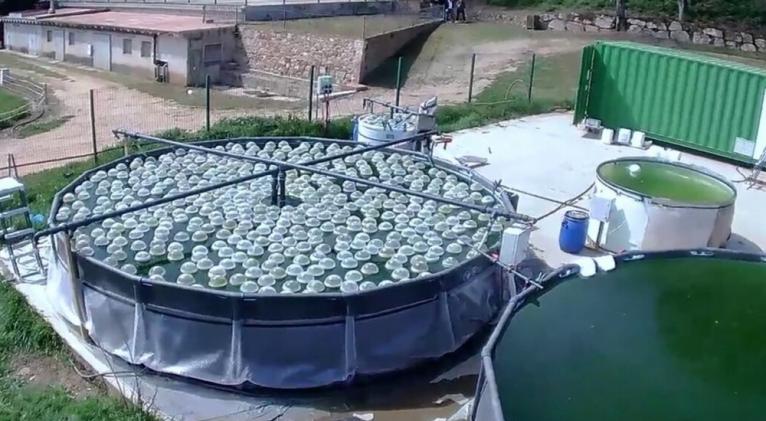 Desarrollan una tecnología para el tratamiento de aguas subterráneas contaminadas