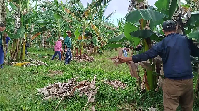 Trabajadores de la construcción protagonizan jornada productiva en Las Tunas