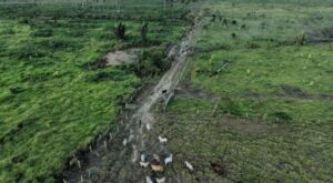 El 10% de los ricos causa dos tercios del calentamiento global, revela estudio