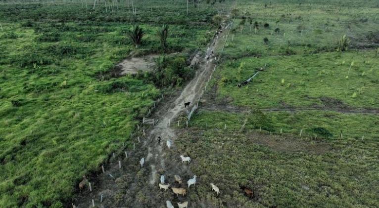 El 10% de los ricos causa dos tercios del calentamiento global, revela estudio