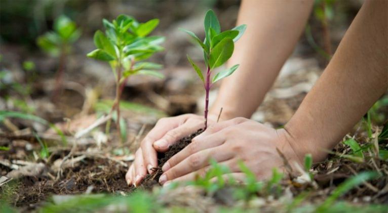 Promueven en Cuba campaña por Día Mundial del Medio Ambiente