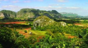 Cuba defiende la diversidad biológica dentro y fuera de sus fronteras