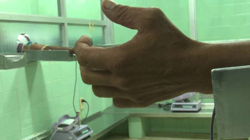 Celebrado en #Amancio el acto provincial por el Día del Donante Voluntario de Sangre