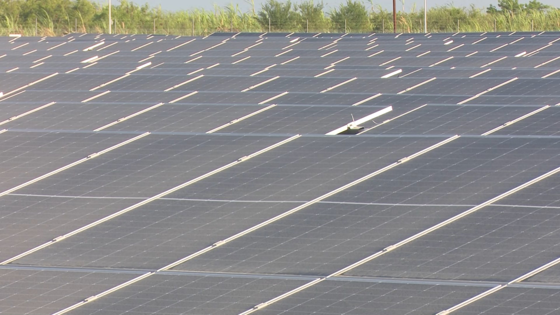 Quedó inaugurado en Puerto Padre el parque solar fotovoltáico Nueva Línea