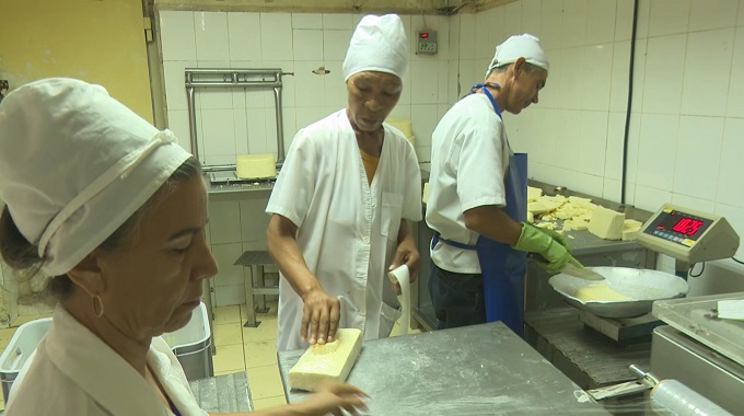 Incrementan producción de quesos en la Empresa de Productos Lácteos de Las Tunas