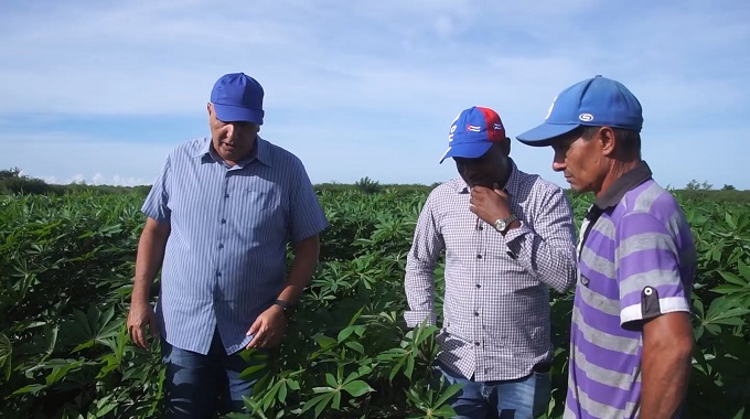Evalúan autoridades potencialidades para la producción de alimentos en Las Tunas