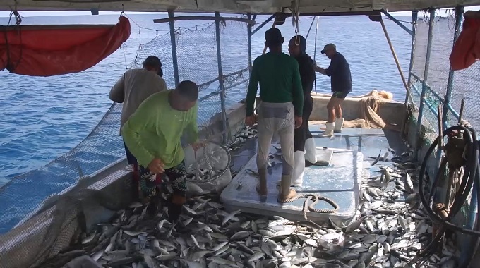 Incrementan pesca de la cojinúa en el norte de Las Tunas