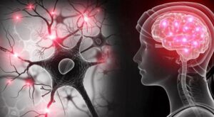 ¿Quiénes tienen mayor riesgo de padecer Parkinson?