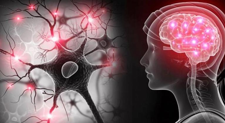 ¿Quiénes tienen mayor riesgo de padecer Parkinson?