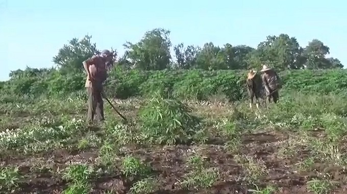Se aprovechan en municipio Colombia los beneficios del proyecto de desarrollo local