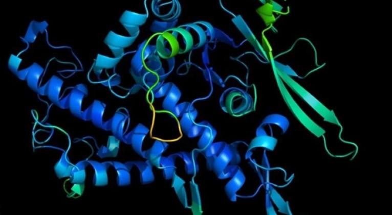 Nuevo estudio alerta del peligro de las proteínas diseñadas con IA