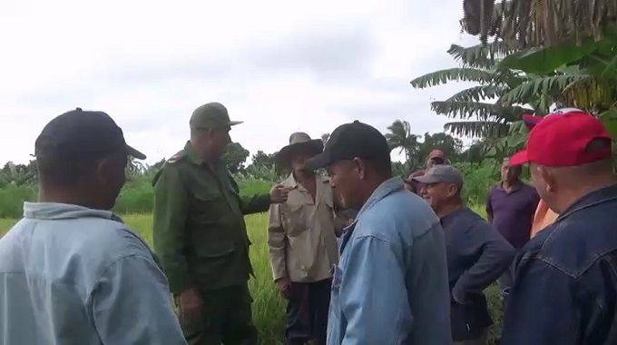 Aplican alternativas en Colombia para no perder producciones y garantizar su comercialización