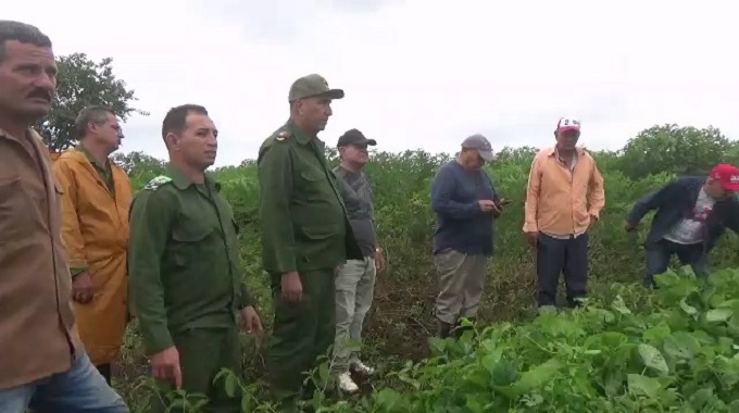Intercambia Presidente del Consejo de Defensa de Las Tunas con productores del municipio de Colombia