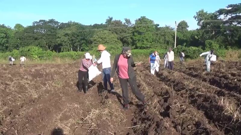 Desarrollaron actividades productivas en el municipio de Colombia