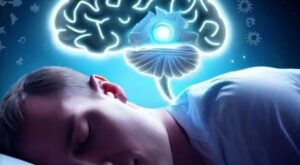 La transición de la vigilia al sueño no es nada fluida para nuestro cerebro: ocurre rápidamente, tras un cambio repentino en la actividad eléctrica de las neuronas que se produce cuatro minutos y medio antes de que nos quedemos dormidos. Ese punto de inflexión crucial puede detectarse en el electroencefalograma (EEG) y permite predecir con precisión cuándo nos dormiremos. Esta información es útil para diagnosticar y tratar trastornos como el insomnio y para desarrollar tecnologías que alerten a los conductores sobre la somnolencia al volante. Incluso podría ayudar a monitorizar mejor la anestesia y servir como indicador de la salud cerebral, como demuestra un estudio del Imperial College de Londres publicado en la revista Nature Neuroscience. El trabajo se basa en los electroencefalogramas nocturnos de más de mil voluntarios. Los datos recopilados, reprocesados matemáticamente en un gráfico, representan la actividad cerebral como una especie de bola que rueda por una pendiente que de repente se vuelve pronunciada. Gracias a este modelo, con solo registrar la actividad cerebral de una persona durante una noche, se pueden predecir los tiempos de sueño de las noches siguientes con un 95 % de precisión y un margen de error de tan solo 49 segundos.
