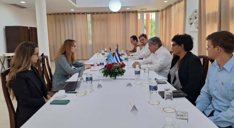 Evalúa Relatora de la ONU impacto en Cuba de medidas coercitivas ( + VIDEO)