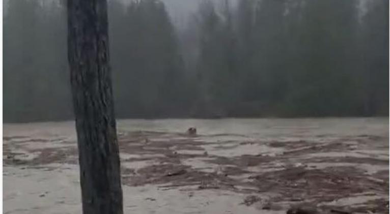 Alerta máxima en Washington: ríos desbordados amenazan con evacuar a 100.000 residentes