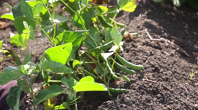 Chequean autoridades del territorio avance de la recuperación en Jesús Menéndez