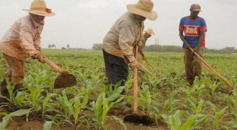 Aprueban Decreto 122 sobre revalorización de la ruralidad