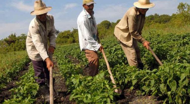 Campesinado cubano reafirma defensa de soberanía nacional