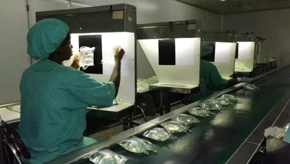 Laboratorio Farmacéutico Oriente mantiene la producción de concentrados de hemodiálisis