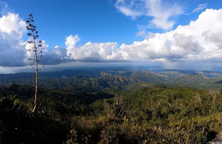 Desarrollan soluciones biotecnológicas para recuperar ecosistemas (+ Fotos)