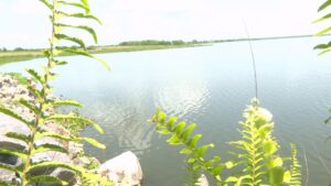 Día Mundial del Agua: donde fluye el agua crece la igualdad