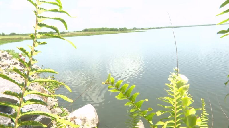 Día Mundial del Agua: donde fluye el agua crece la igualdad