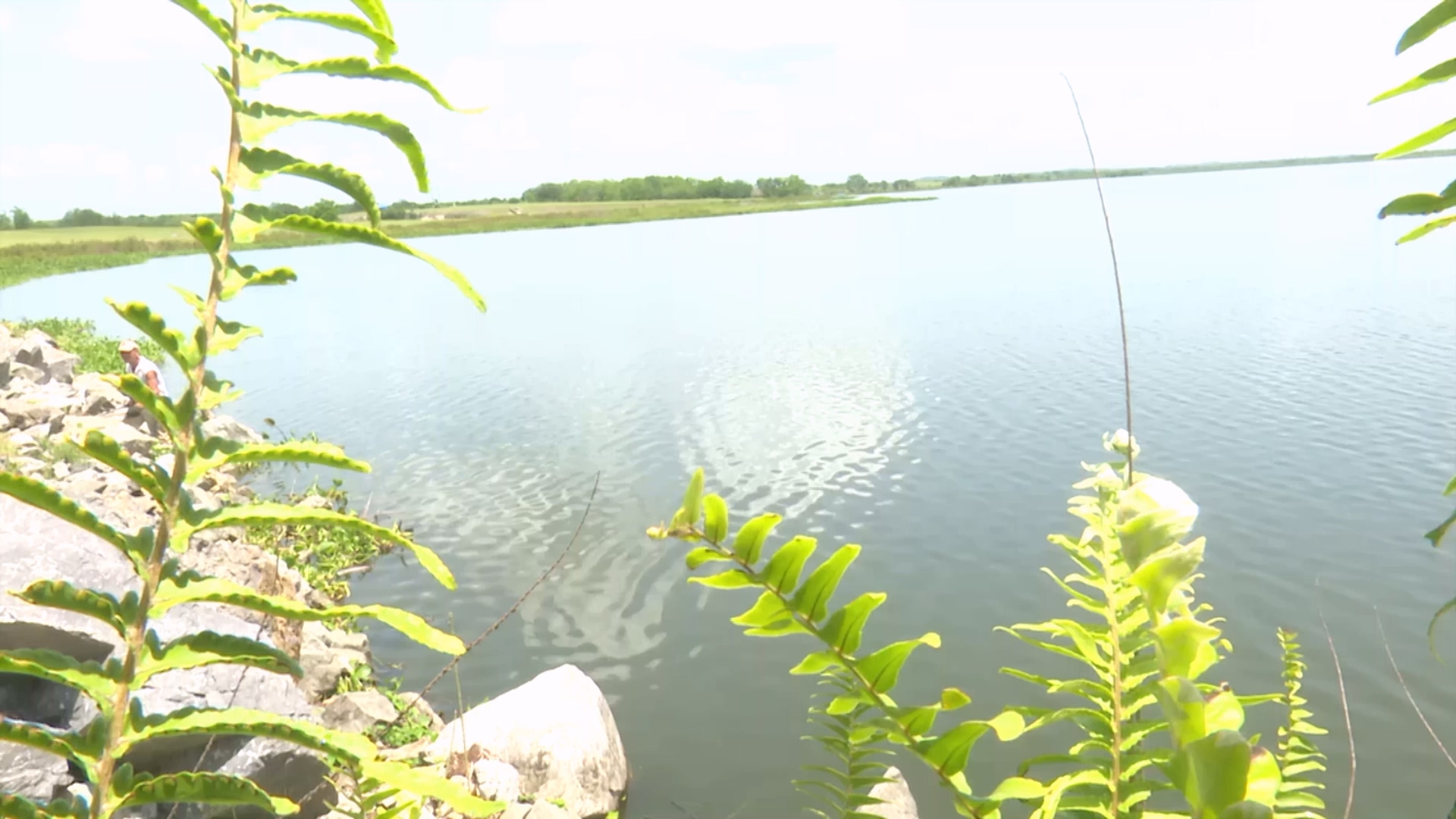 Día Mundial del Agua: donde fluye el agua crece la igualdad