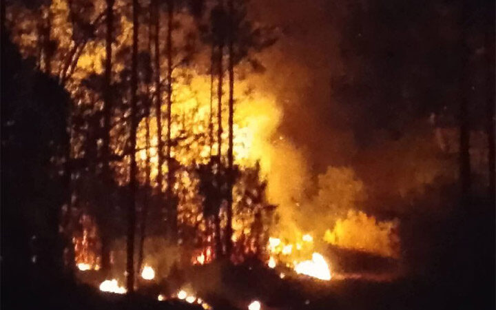 Combaten incendio forestal en Pinar del Río