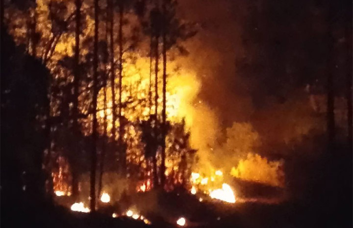 Combaten incendio forestal en Pinar del Río