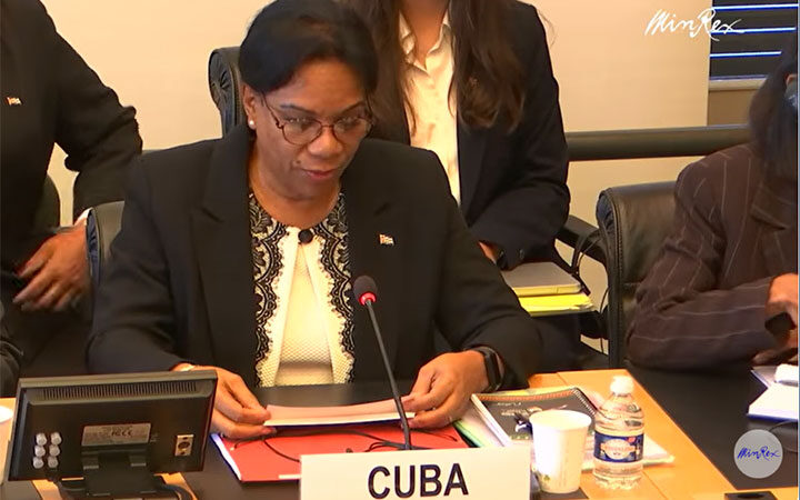Intervención de Inés María Chapman en la ONU sobre discriminación racial (+Video)
