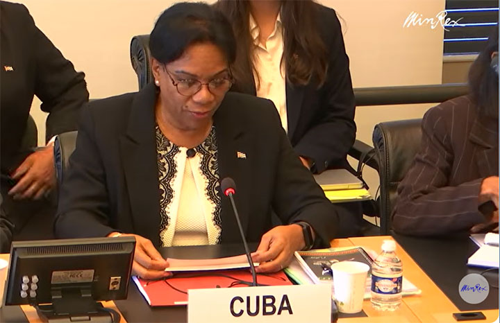 Intervención de Inés María Chapman en la ONU sobre discriminación racial (+Video)