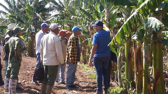 Destacan en la provincia importancia estratégica de los polos productivos