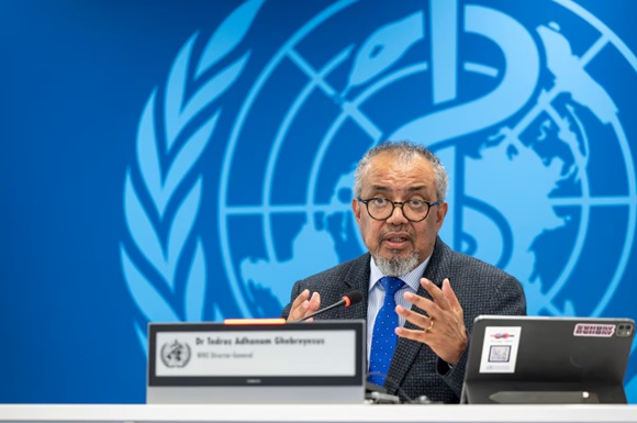 La OMS evalúa el riesgo del hantavirus para la salud pública