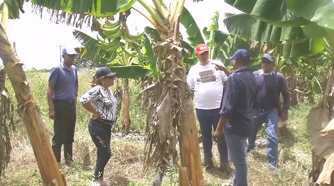Sequía afecta producción de alimentos en Jobabo