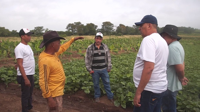 Incentivan la producción de alimentos como estrategia para el desarrollo local