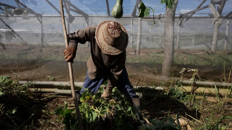 Estados Unidos apunta ahora al suministro de alimentos de Cuba