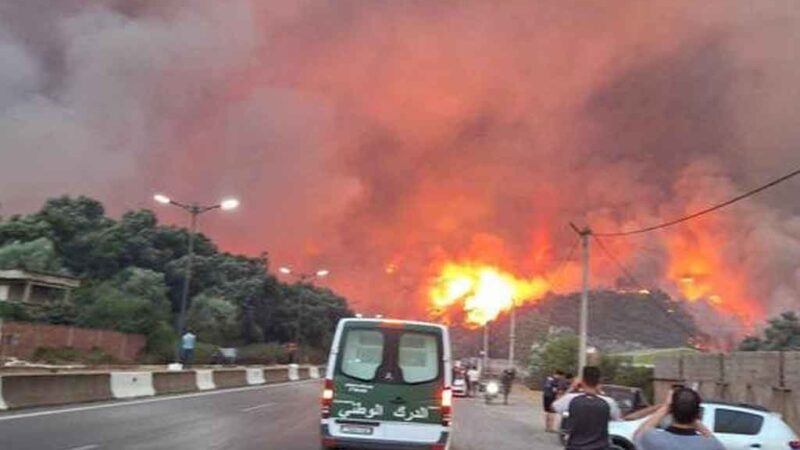 Canciller cubano lamenta víctimas por incendios forestales en Argelia