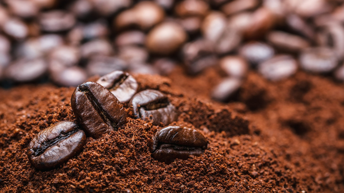 Cuba busca inversiones para elevar producción de café y miel