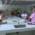 Fomenta carrera de agronomía de la Universidad de Las Tunas proyectos para el desarrollo de la provincia